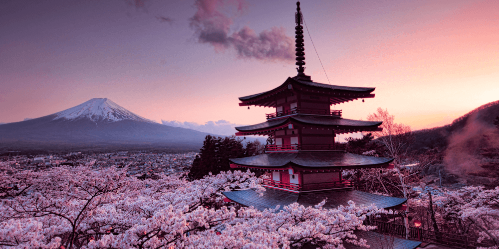 Tokyo Tales: A Cultural Feast in Japan’s Capital